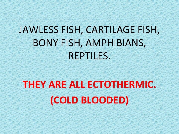 JAWLESS FISH, CARTILAGE FISH, BONY FISH, AMPHIBIANS, REPTILES. THEY ARE ALL ECTOTHERMIC. (COLD BLOODED)