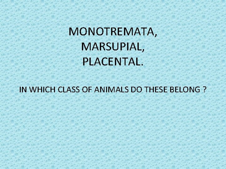 MONOTREMATA, MARSUPIAL, PLACENTAL. IN WHICH CLASS OF ANIMALS DO THESE BELONG ? 