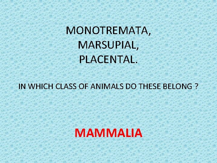 MONOTREMATA, MARSUPIAL, PLACENTAL. IN WHICH CLASS OF ANIMALS DO THESE BELONG ? MAMMALIA 