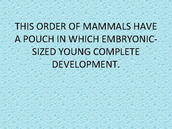 THIS ORDER OF MAMMALS HAVE A POUCH IN WHICH EMBRYONICSIZED YOUNG COMPLETE DEVELOPMENT. 