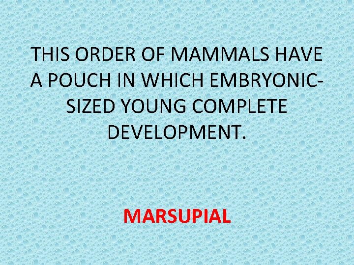 THIS ORDER OF MAMMALS HAVE A POUCH IN WHICH EMBRYONICSIZED YOUNG COMPLETE DEVELOPMENT. MARSUPIAL