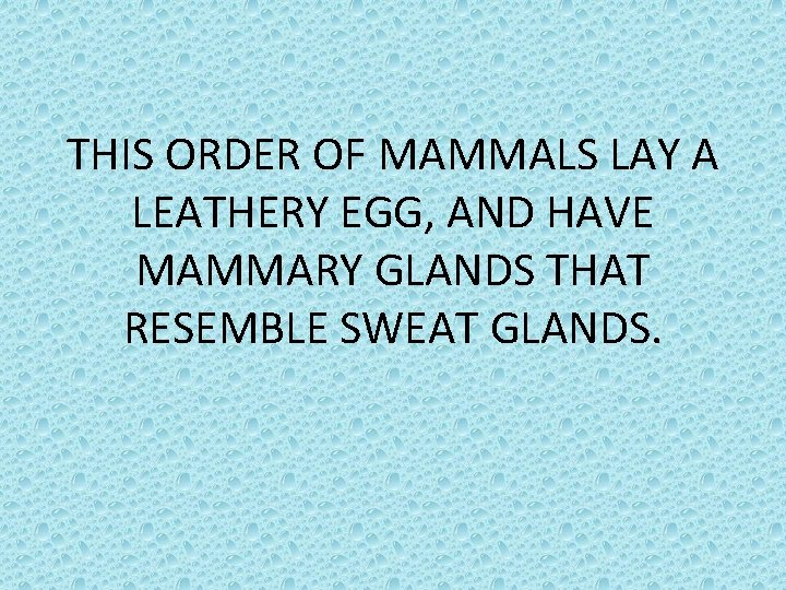 THIS ORDER OF MAMMALS LAY A LEATHERY EGG, AND HAVE MAMMARY GLANDS THAT RESEMBLE