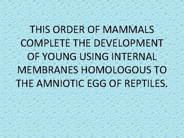 THIS ORDER OF MAMMALS COMPLETE THE DEVELOPMENT OF YOUNG USING INTERNAL MEMBRANES HOMOLOGOUS TO