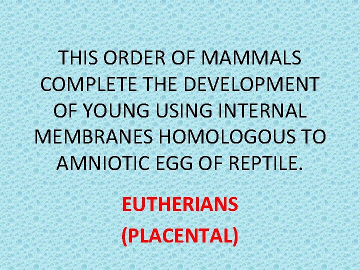 THIS ORDER OF MAMMALS COMPLETE THE DEVELOPMENT OF YOUNG USING INTERNAL MEMBRANES HOMOLOGOUS TO