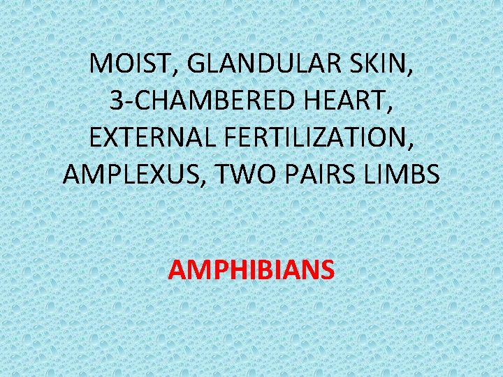 MOIST, GLANDULAR SKIN, 3 -CHAMBERED HEART, EXTERNAL FERTILIZATION, AMPLEXUS, TWO PAIRS LIMBS AMPHIBIANS 