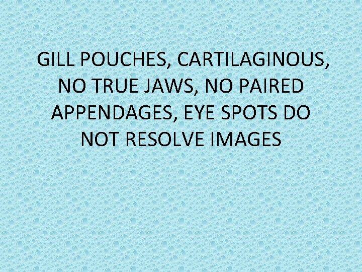 GILL POUCHES, CARTILAGINOUS, NO TRUE JAWS, NO PAIRED APPENDAGES, EYE SPOTS DO NOT RESOLVE