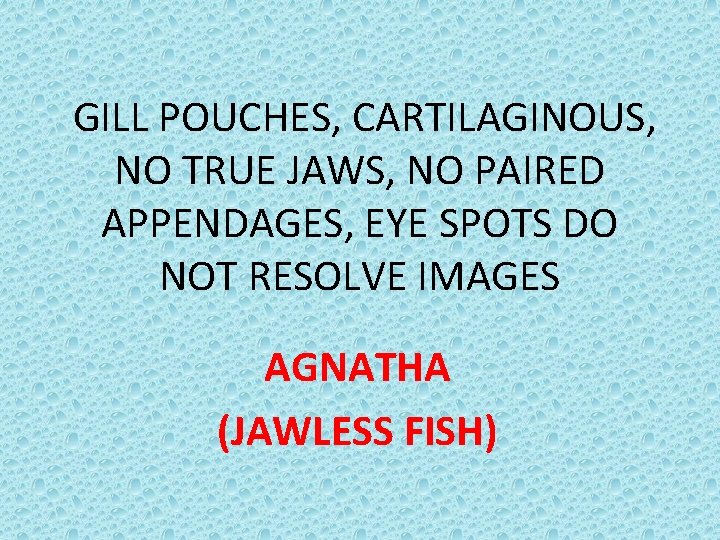 GILL POUCHES, CARTILAGINOUS, NO TRUE JAWS, NO PAIRED APPENDAGES, EYE SPOTS DO NOT RESOLVE