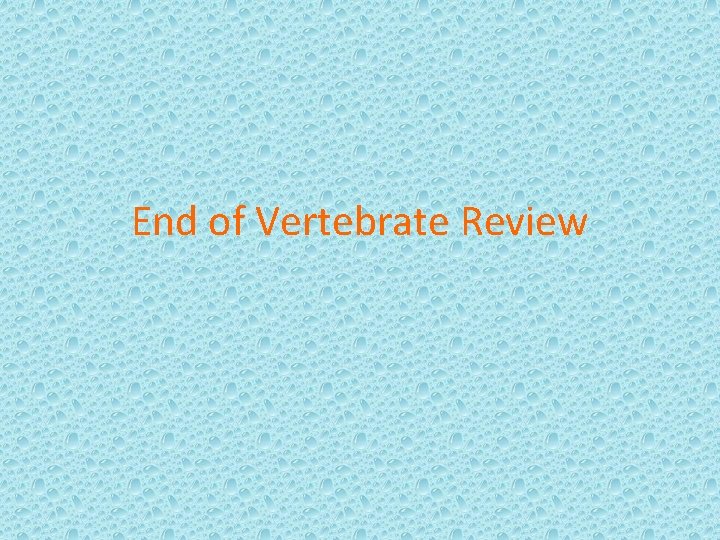 End of Vertebrate Review 