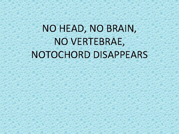 NO HEAD, NO BRAIN, NO VERTEBRAE, NOTOCHORD DISAPPEARS 