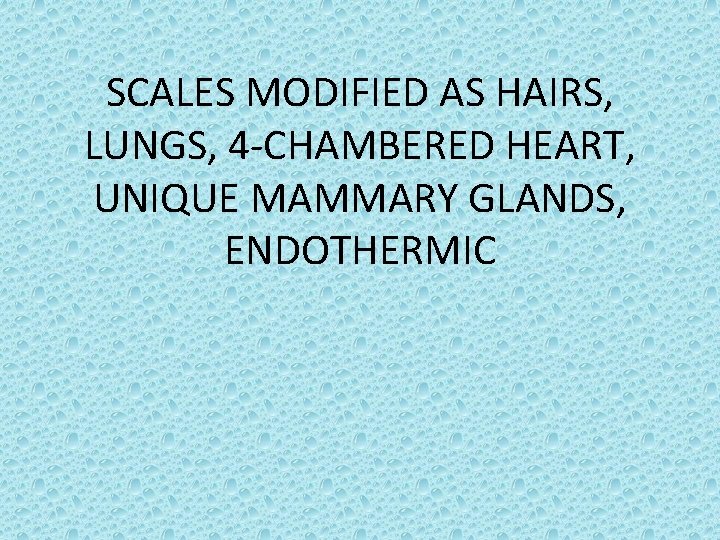 SCALES MODIFIED AS HAIRS, LUNGS, 4 -CHAMBERED HEART, UNIQUE MAMMARY GLANDS, ENDOTHERMIC 