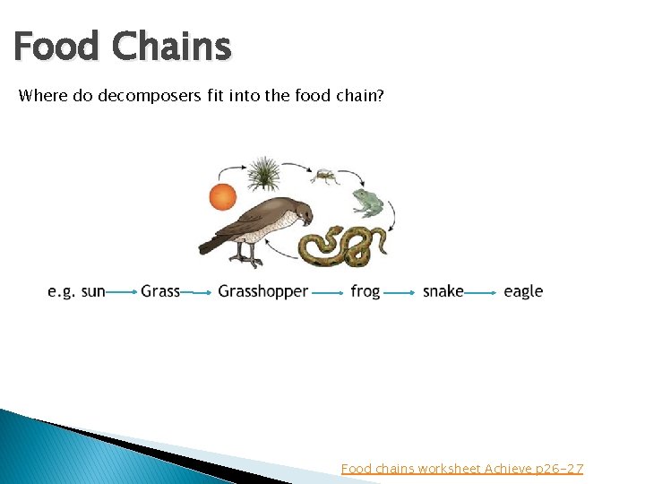 Food Chains Where do decomposers fit into the food chain? Food chains worksheet Achieve
