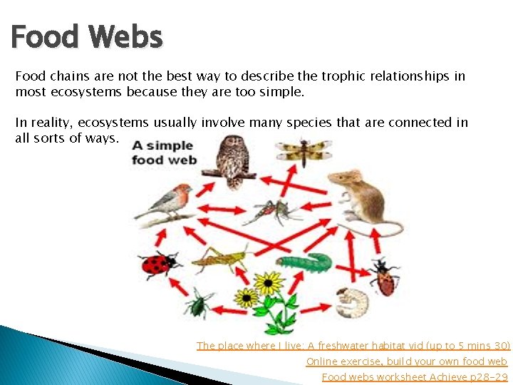 Food Webs Food chains are not the best way to describe the trophic relationships