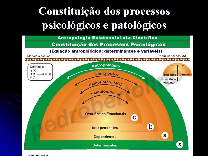 Constituição dos processos psicológicos e patológicos 