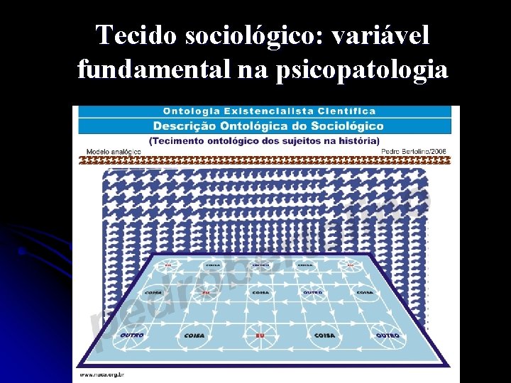 Tecido sociológico: variável fundamental na psicopatologia 