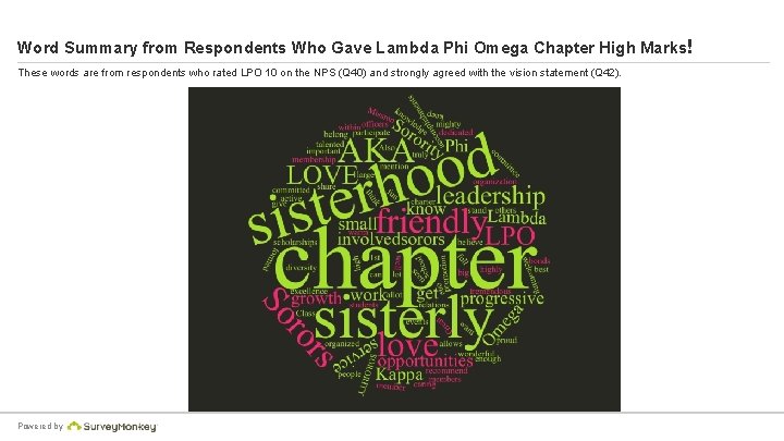 Word Summary from Respondents Who Gave Lambda Phi Omega Chapter High Marks! These words