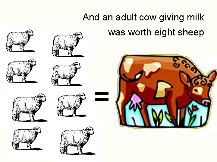 And an adult cow giving milk was worth eight sheep = 