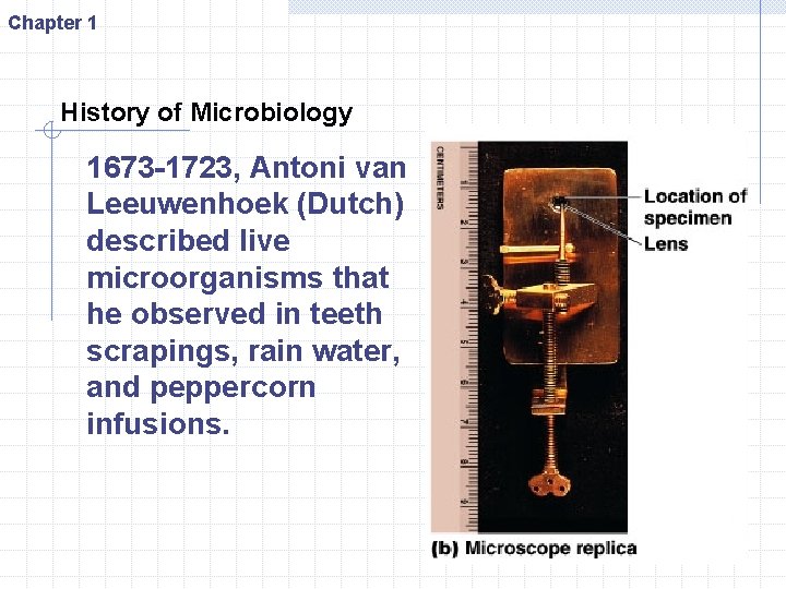 Chapter 1 History of Microbiology 1673 -1723, Antoni van Leeuwenhoek (Dutch) described live microorganisms
