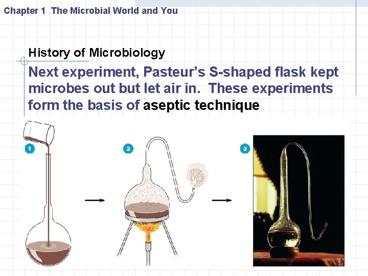 Chapter 1 The Microbial World and You History of Microbiology Next experiment, Pasteur’s S-shaped