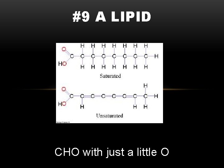 #9 A LIPID CHO with just a little O 