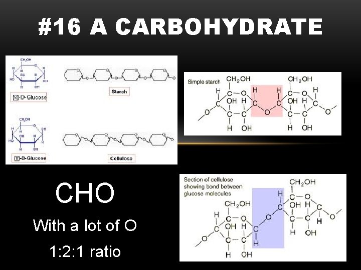 #16 A CARBOHYDRATE CHO With a lot of O 1: 2: 1 ratio 