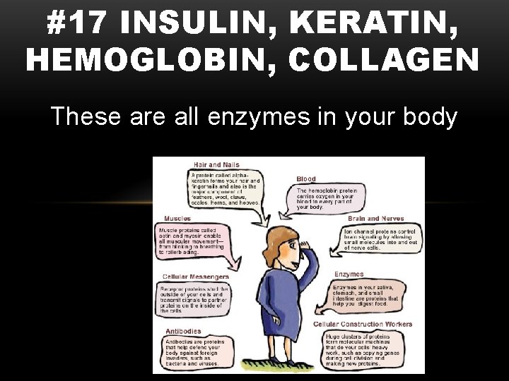 #17 INSULIN, KERATIN, HEMOGLOBIN, COLLAGEN These are all enzymes in your body 