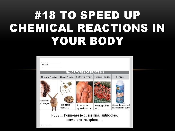 #18 TO SPEED UP CHEMICAL REACTIONS IN YOUR BODY 