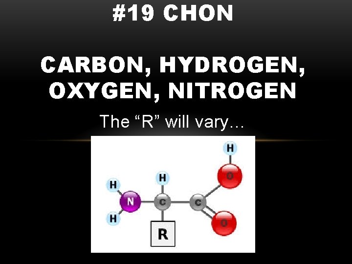 #19 CHON CARBON, HYDROGEN, OXYGEN, NITROGEN The “R” will vary… 