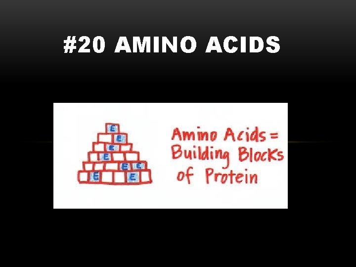 #20 AMINO ACIDS 