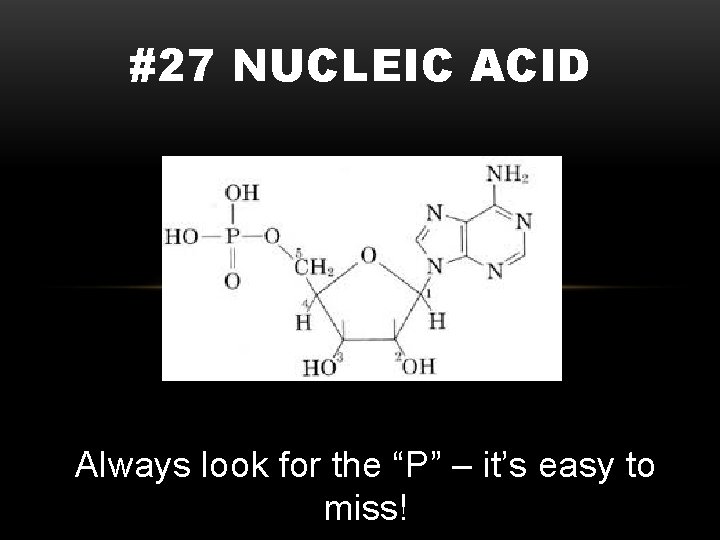 #27 NUCLEIC ACID Always look for the “P” – it’s easy to miss! 