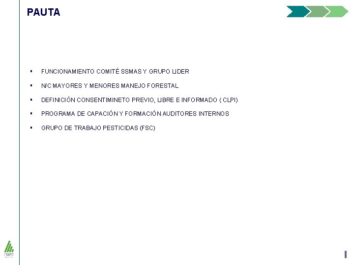 PAUTA § FUNCIONAMIENTO COMITÉ SSMAS Y GRUPO LIDER § N/C MAYORES Y MENORES MANEJO