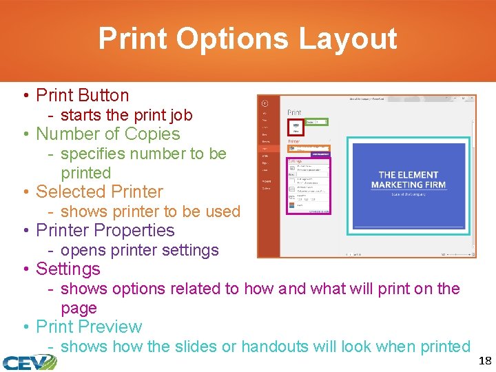 Print Options Layout • Print Button - starts the print job • Number of