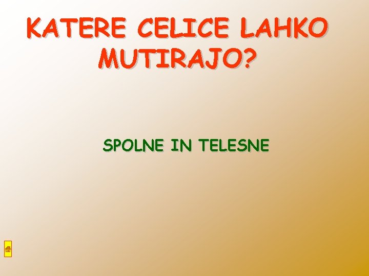 KATERE CELICE LAHKO MUTIRAJO? SPOLNE IN TELESNE 