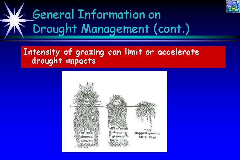 Rangeland Management Before During and After Drought Larry