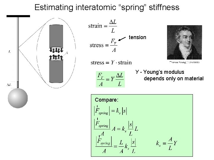 Estimating interatomic “spring” stiffness tension Y - Young’s modulus depends only on material Compare: