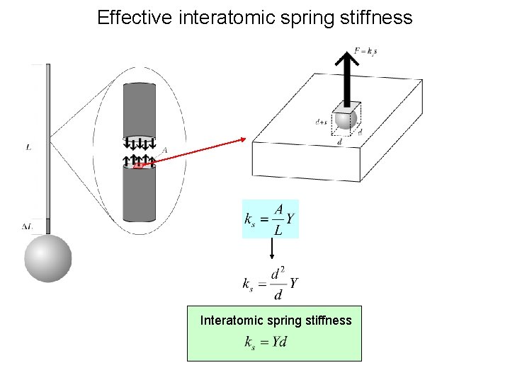 Effective interatomic spring stiffness Interatomic spring stiffness 