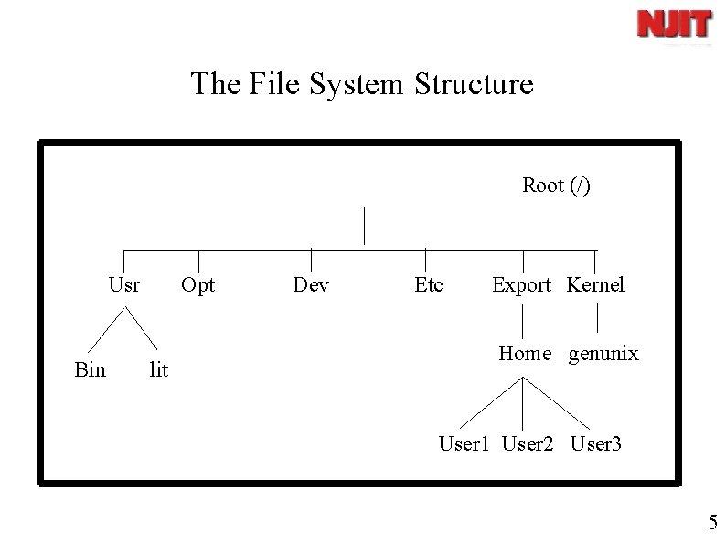 The File System Structure Root (/) Usr Bin Opt lit Dev Etc Export Kernel