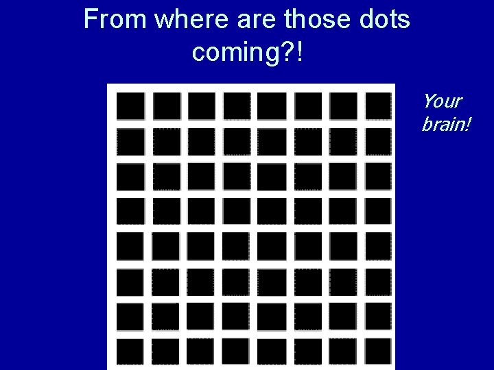 From where are those dots coming? ! Your brain! 