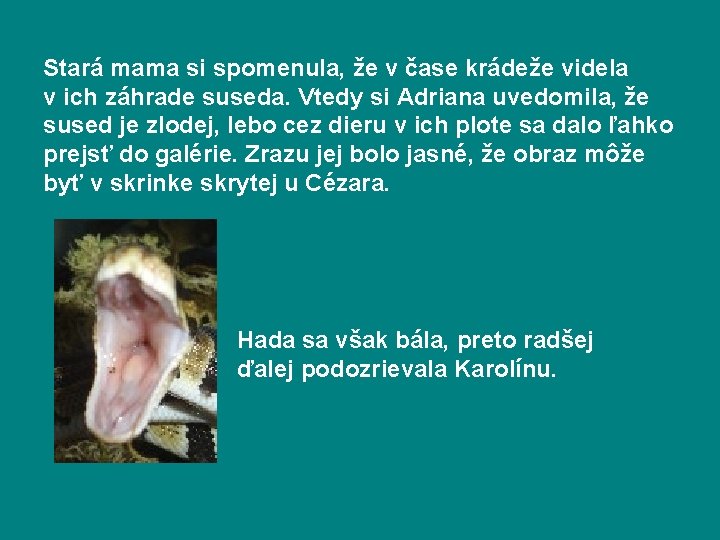 Stará mama si spomenula, že v čase krádeže videla v ich záhrade suseda. Vtedy