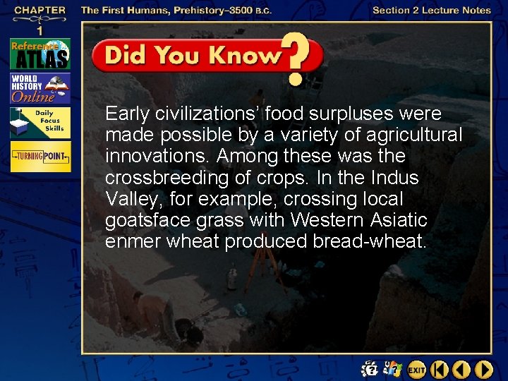 Early civilizations’ food surpluses were made possible by a variety of agricultural innovations. Among