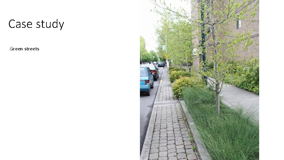 Case study Green streets 