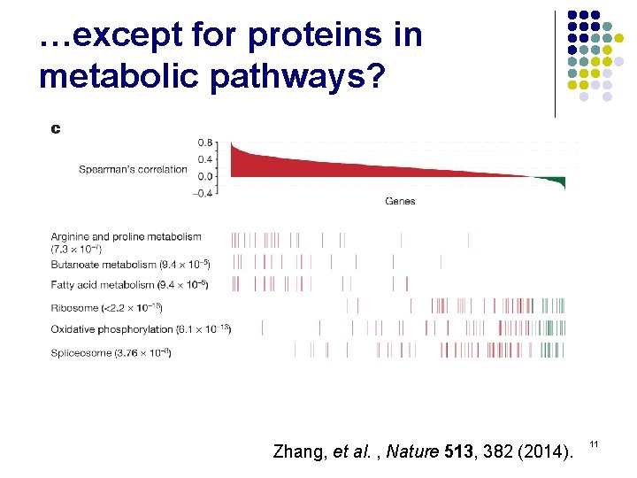 …except for proteins in metabolic pathways? Zhang, et al. , Nature 513, 382 (2014).