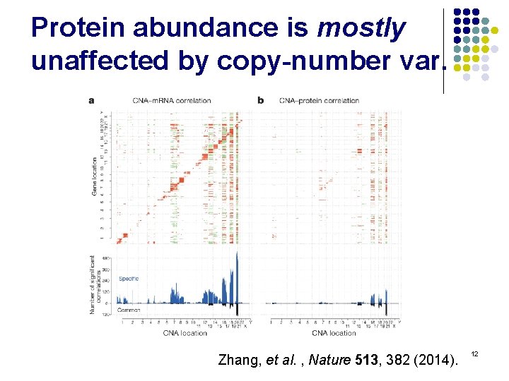 Protein abundance is mostly unaffected by copy-number var. Zhang, et al. , Nature 513,