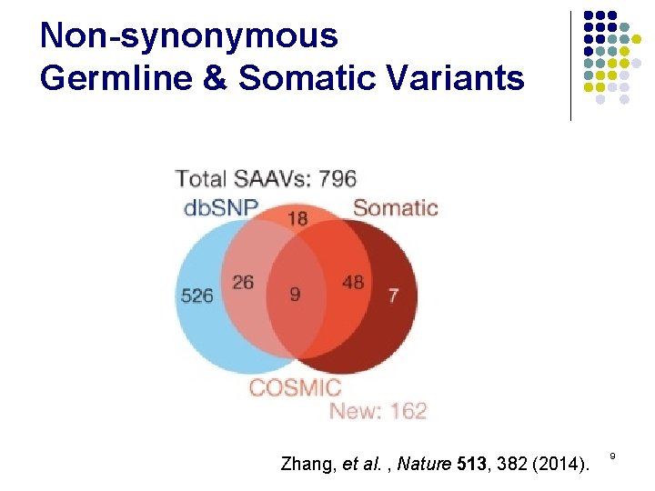 Non-synonymous Germline & Somatic Variants Zhang, et al. , Nature 513, 382 (2014). 9