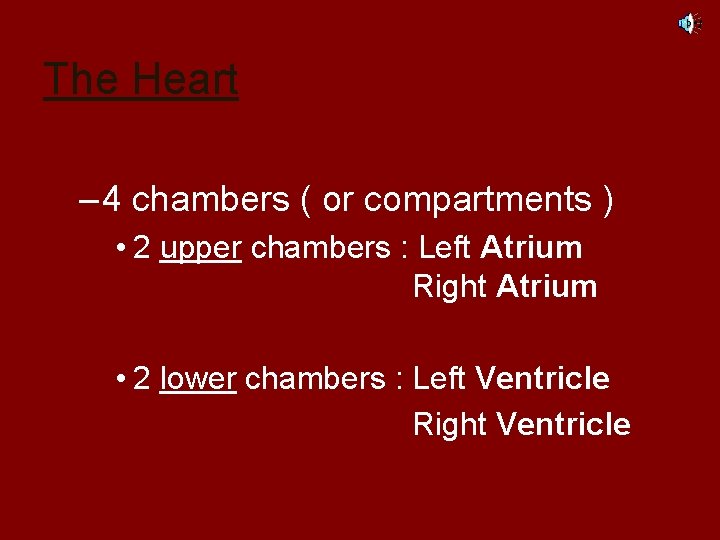 The Heart – 4 chambers ( or compartments ) • 2 upper chambers :