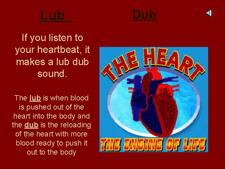 Lub If you listen to your heartbeat, it makes a lub dub sound. The