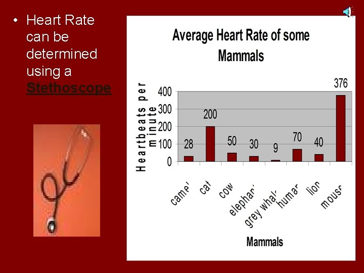  • Heart Rate can be determined using a Stethoscope 