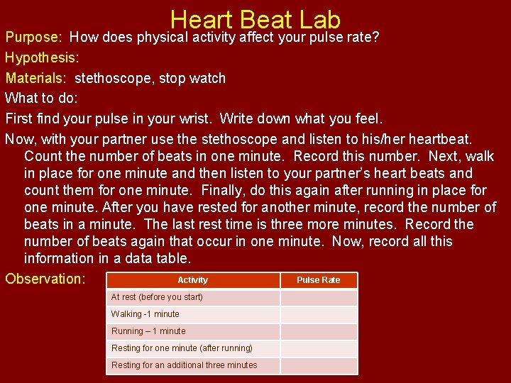 Heart Beat Lab Purpose: How does physical activity affect your pulse rate? Hypothesis: Materials: