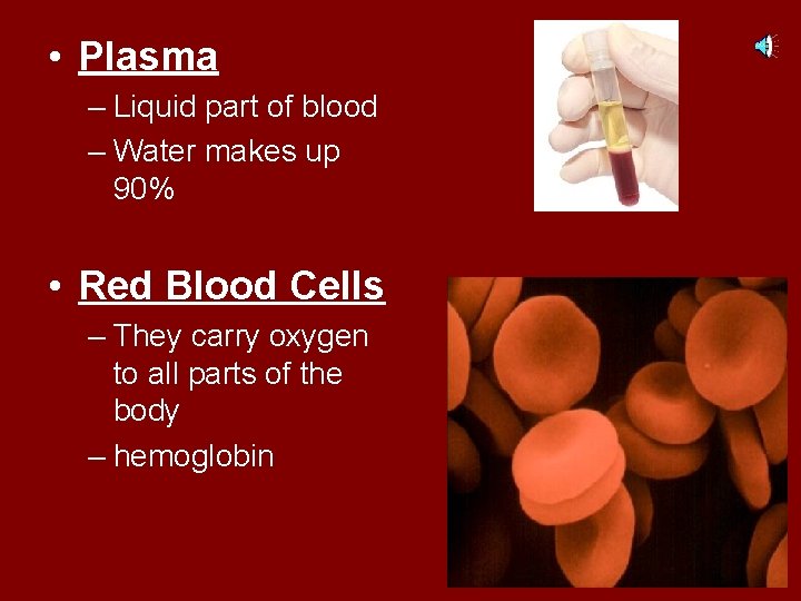  • Plasma – Liquid part of blood – Water makes up 90% •