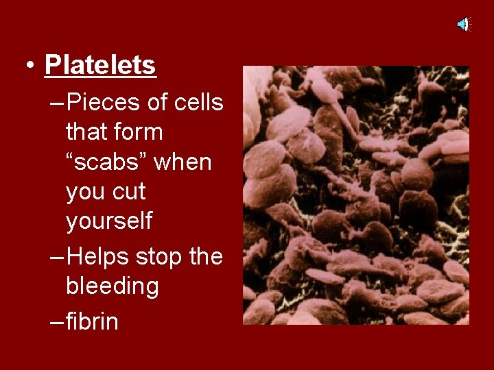  • Platelets – Pieces of cells that form “scabs” when you cut yourself