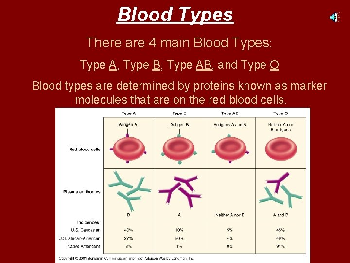 Blood Types There are 4 main Blood Types: Type A, Type B, Type AB,